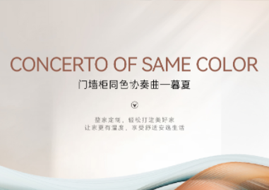 新色鑒賞丨門(mén)墻柜同色 